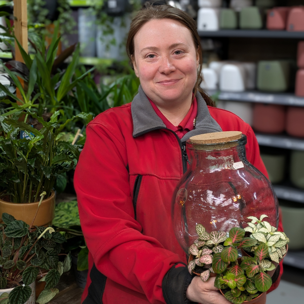 Make Your Own Terrarium